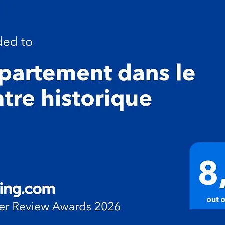 Appartement Dans Le Centre Historique